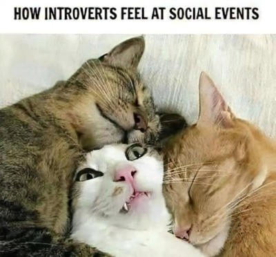 in.jpg